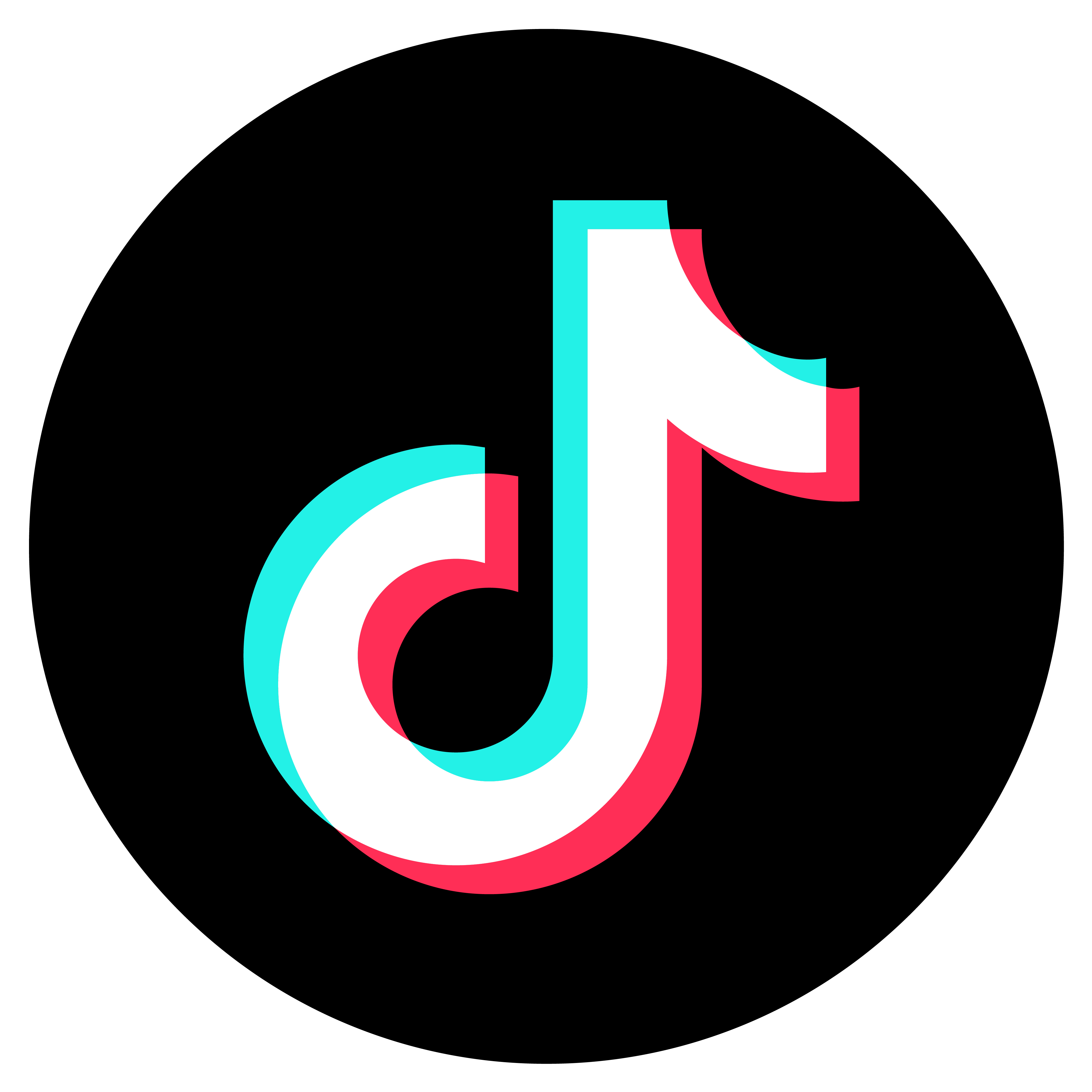 TikTok 替代